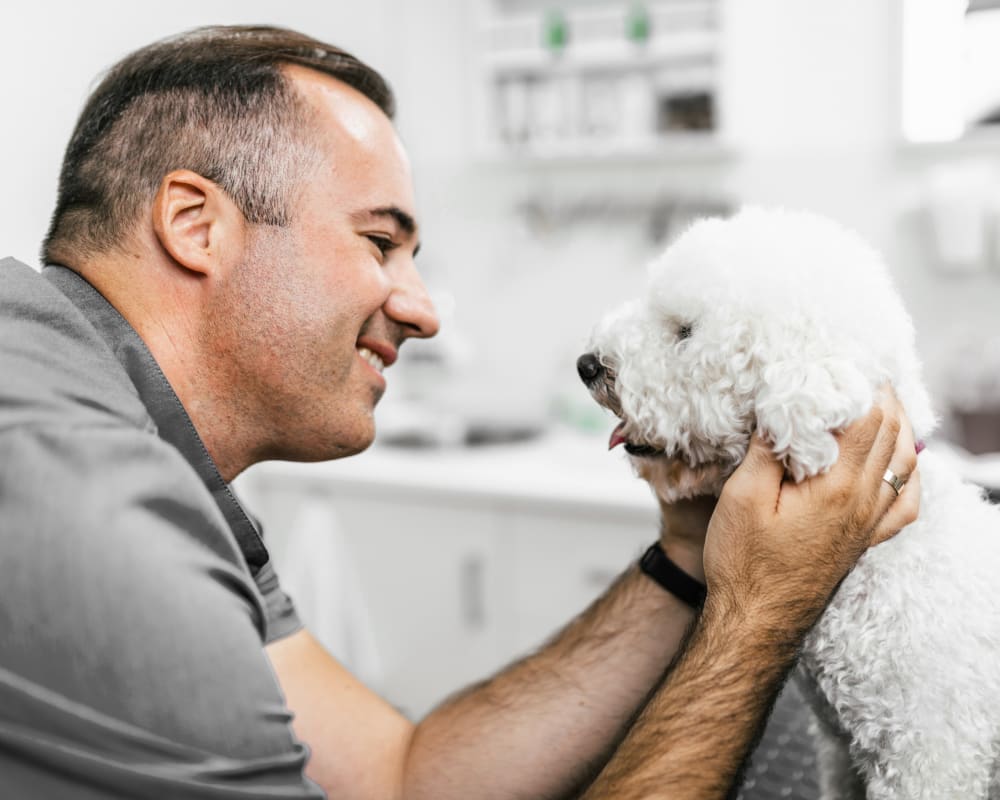 General Dental Care, Guelph Vet